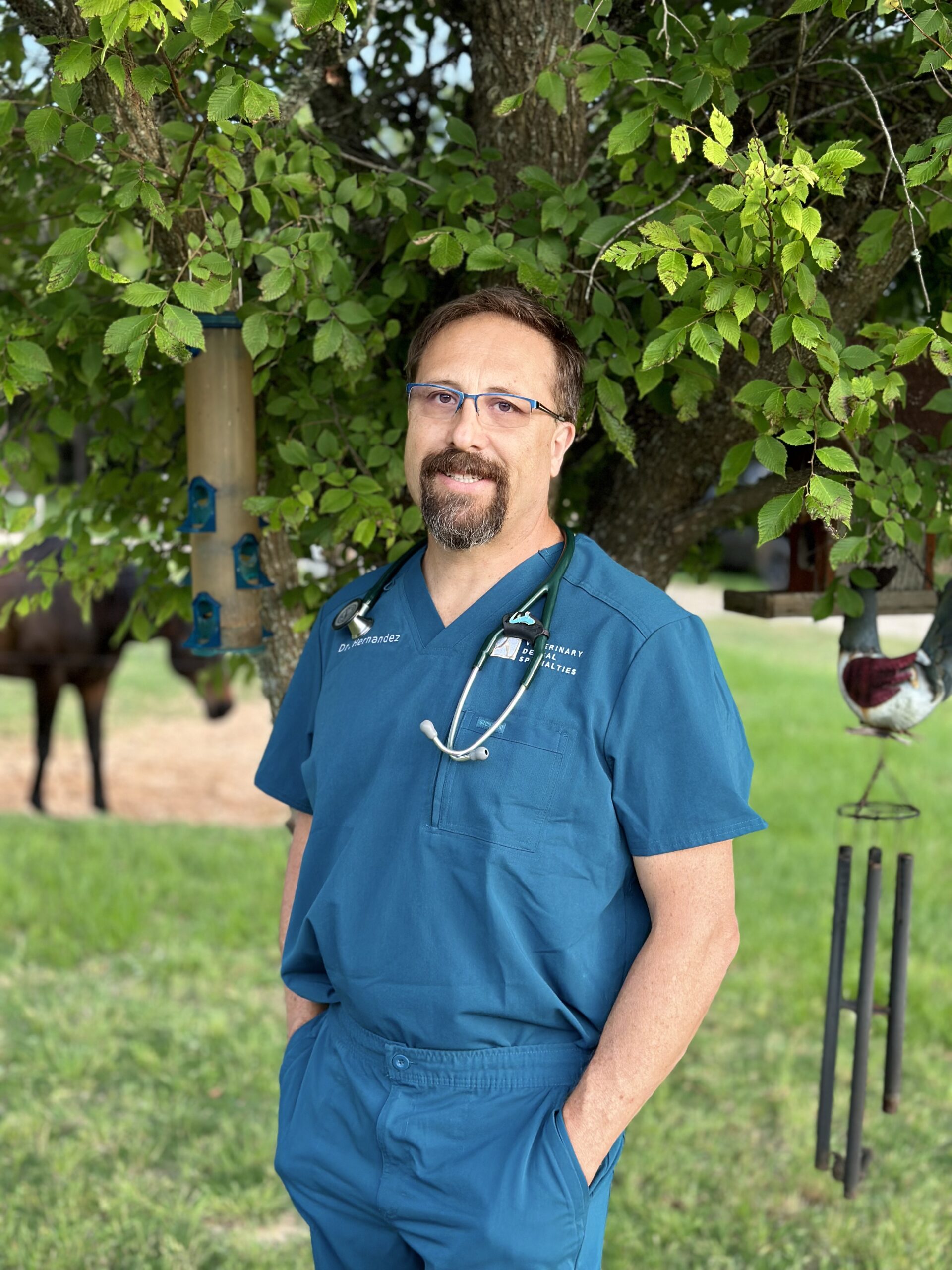 Veterinary Dental Specialties — Dr. Sergio Hernandez