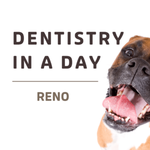 Dentistry in a Day- Reno 11/13 NOW A HYBRID EXPERIENCE