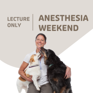 Anesthesia Lecture: Saturday Only 4/22/23