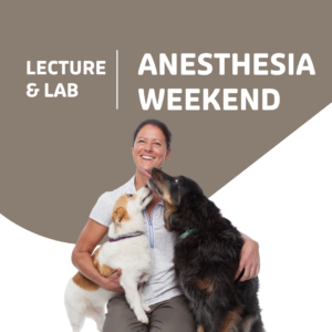 Anesthesia Lecture & Lab: Full Weekend with Sun PM 4/22-4/23/23 Vets + Techs