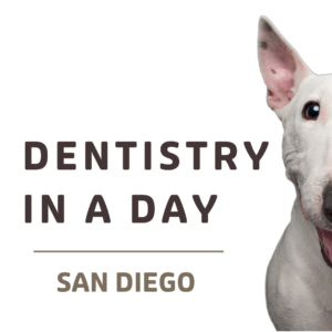 Dentistry in a Day- San Diego 1/28/24