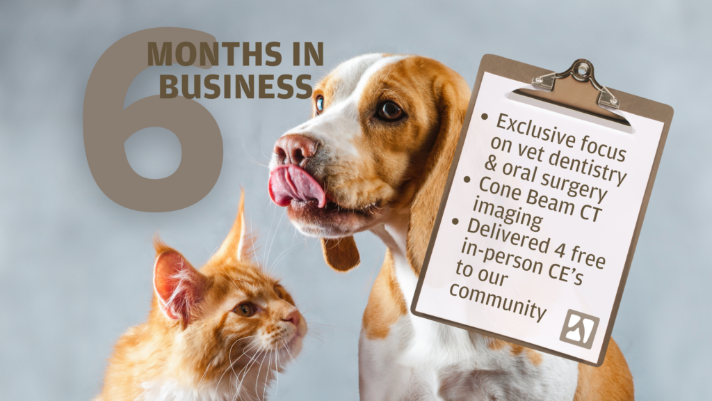 Dog and cat with VDS 6 Months in Business and Clipboard with VDS Austin's services