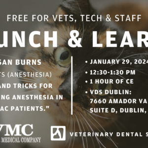 DUBLIN | Lunch & Learn 1/29/24