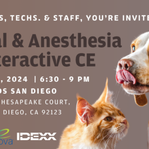 SAN DIEGO | Interactive CE (4/30/24)