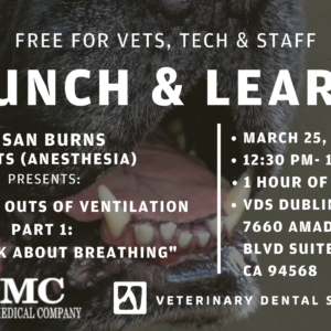 DUBLIN | Lunch & Learn: Part 1 of Anesthesiology Series 3/25/24