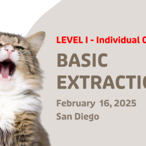 Level I Basic Extractions 2/16/25