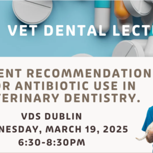 DUBLIN | Antibiotics CE Lecture (3/19/25)