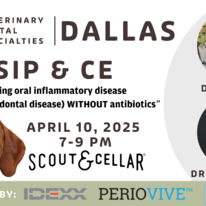 DALLAS | SIP & CE (4/10/25)