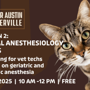 AUSTIN | Dental Anesthesia Lectures: Session 2 (8/2/25)