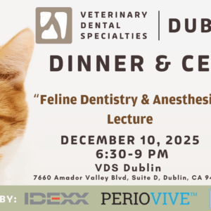 DUBLIN |  Feline Dentistry and Anesthesia 12/10/25