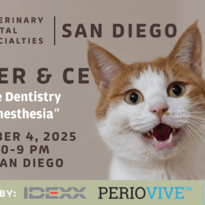 SAN DIEGO |  Feline Dentistry and Anesthesia 12/4/25