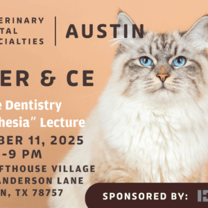 AUSTIN |  Feline Dentistry, Anesthesia & Radiology 11/11/25