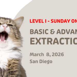Level I Full Day: Basic & Advanced Extractions 3/8/26