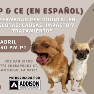 SAN DIEGO | Sip & CE in Spanish 04/29/26