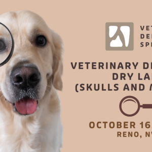RENO | Vet Dentistry Dry Lab (10/16/26)