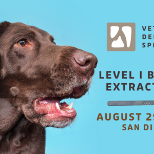 San Diego | Level I Extractions Bundle (8/29/26)